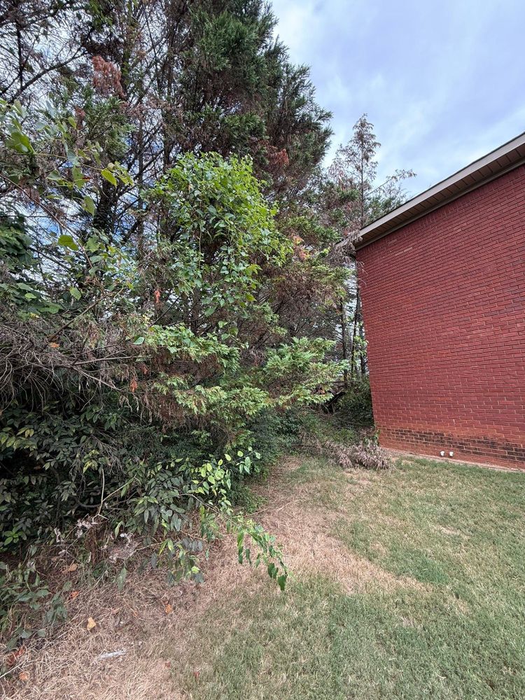 All Photos for Mud Creek Vegetation Management in Russellville, AL