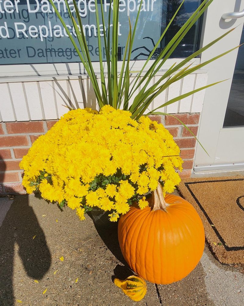 All Photos for Cut a Rug Flooring in Lake Orion, MI