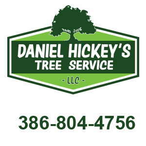 All Photos for Daniel Hickey’s Tree Service in DeLand, FL