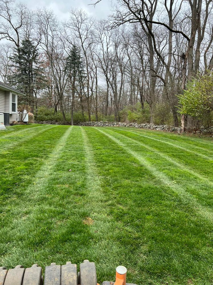 Lawn Care for Morning Dew Landscaping and Irrigation Services in  Marlboro, NY