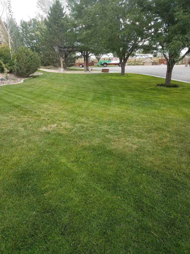 All Photos for Platinum Lawn Service in Santaquin, UT