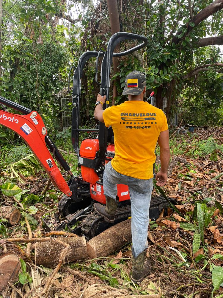 Omarvelous Landscaping team in Sarasota, FL - people or person