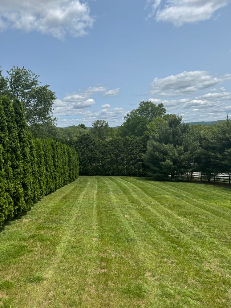 All Photos for Landscape & Lawn Care Pros in Temple, PA