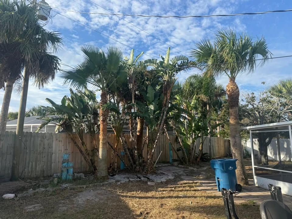 All Photos for Grind Time Tree Service in Daytona, FL