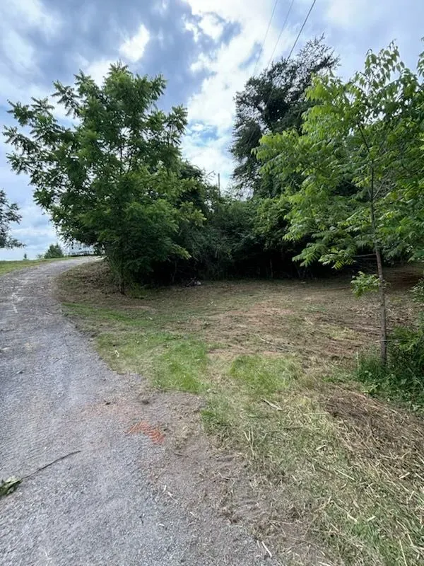 Brush Clearing  for Three Rivers Dirt Works LLC in Knoxville, TN