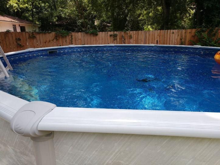All Photos for Down & Dirty Pool Service in Crawfordville, FL