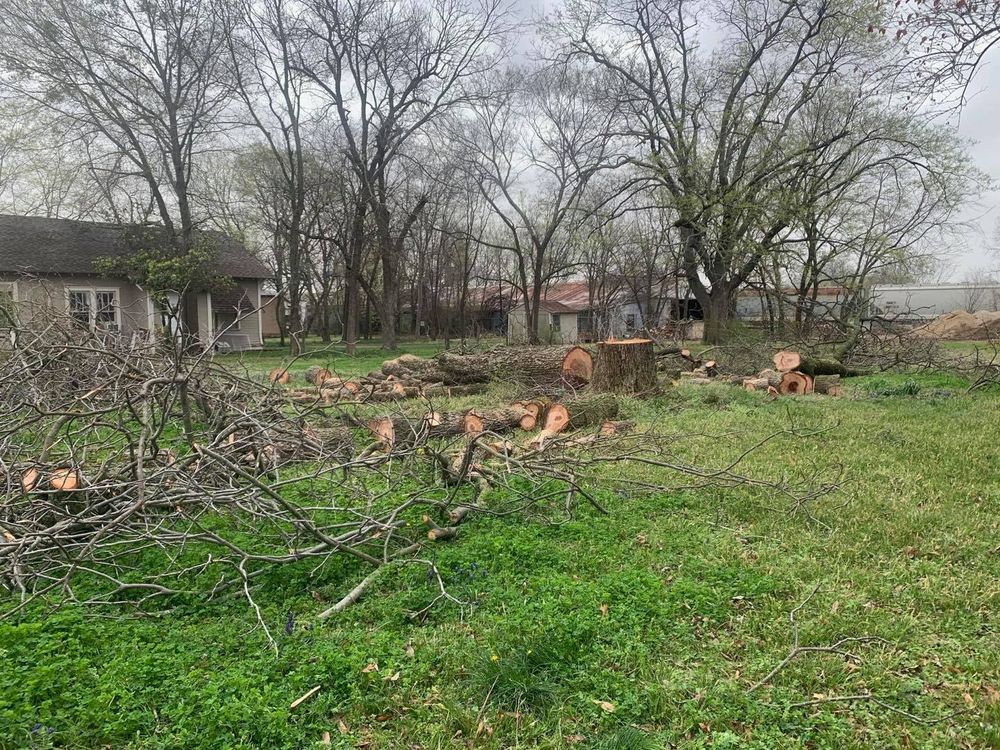 Fall and Spring Clean Up for Oak Root Tree & Lawn Services in Sulphur Springs, Texas