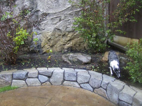 All Photos for Jacks Lawn & Landscape LLC  in Hastings, NE