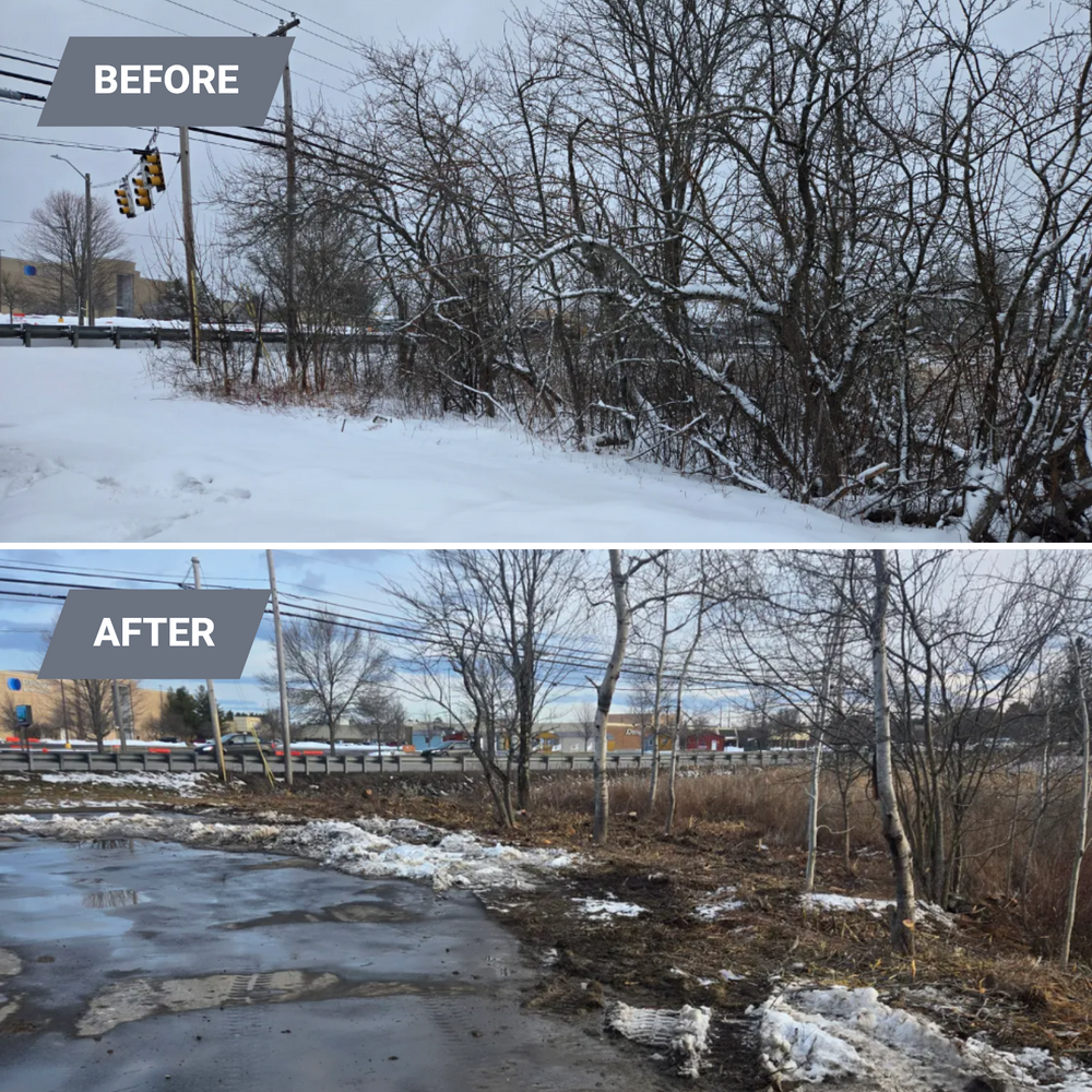 All Photos for Casey's Lawn Service LLC in Orono, ME