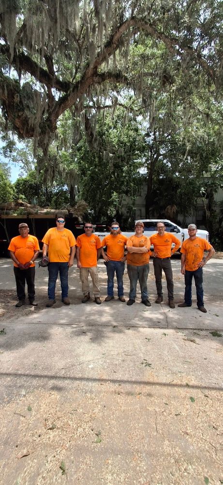 All Photos for Daniel Hickey’s Tree Service in DeLand, FL