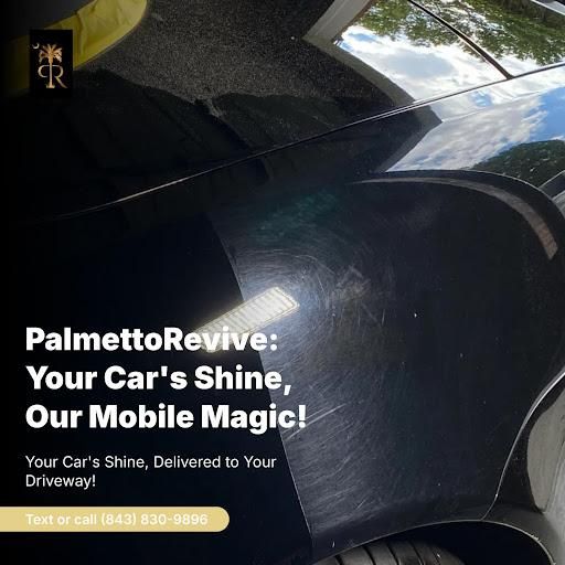 Level 1 Premium Detail Package for PalmettoRevive Mobile Detailing in Charleston, SC