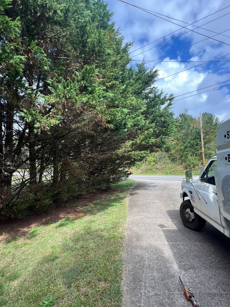 All Photos for Brooks Tree Service, LLC in Casar, NC