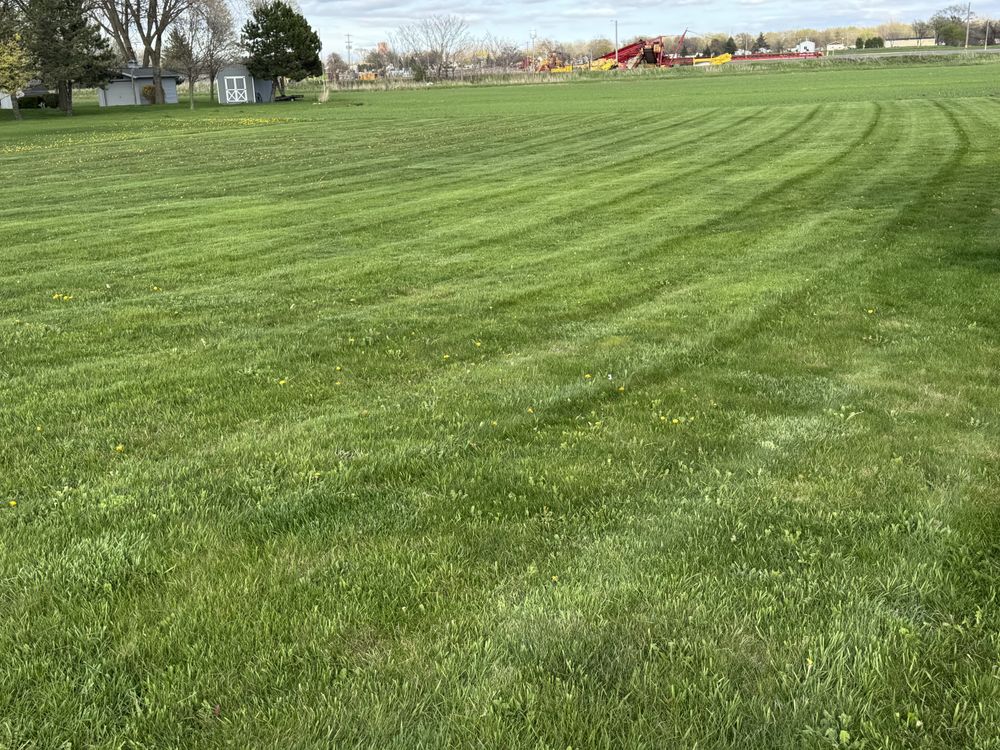 Landscaping Lawn Care for Daugherty's Tough Lawn Care in Essexville, MI