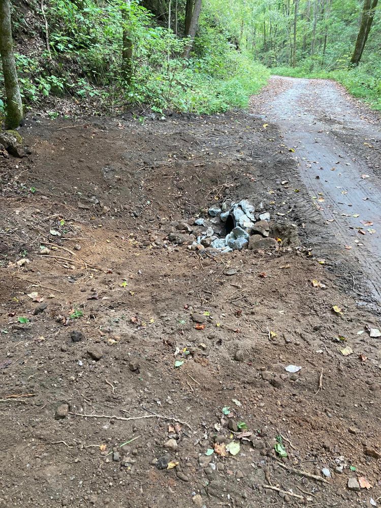 All Photos for NRV Tree Pro, LLC in Narrows, VA