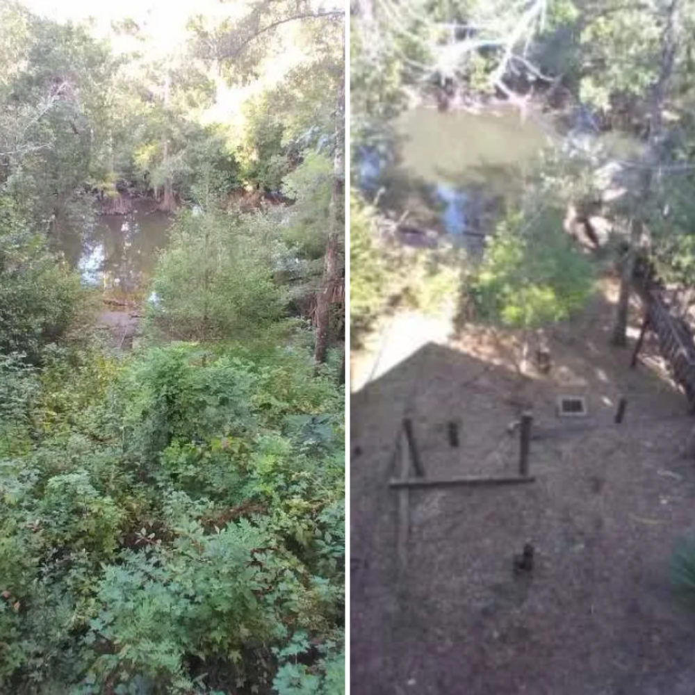 All Photos for Landrum’s Lawn & Tractor Services in Blountstown, FL