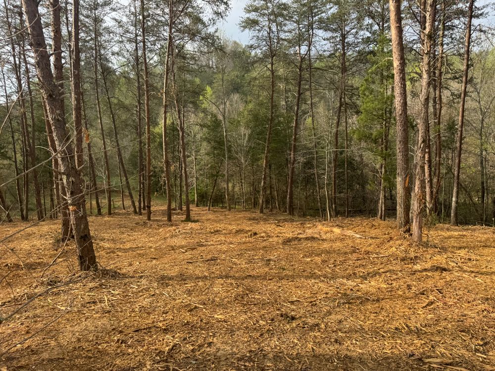 All Photos for Miller Farms Hay & Land Management in Knoxville, TN