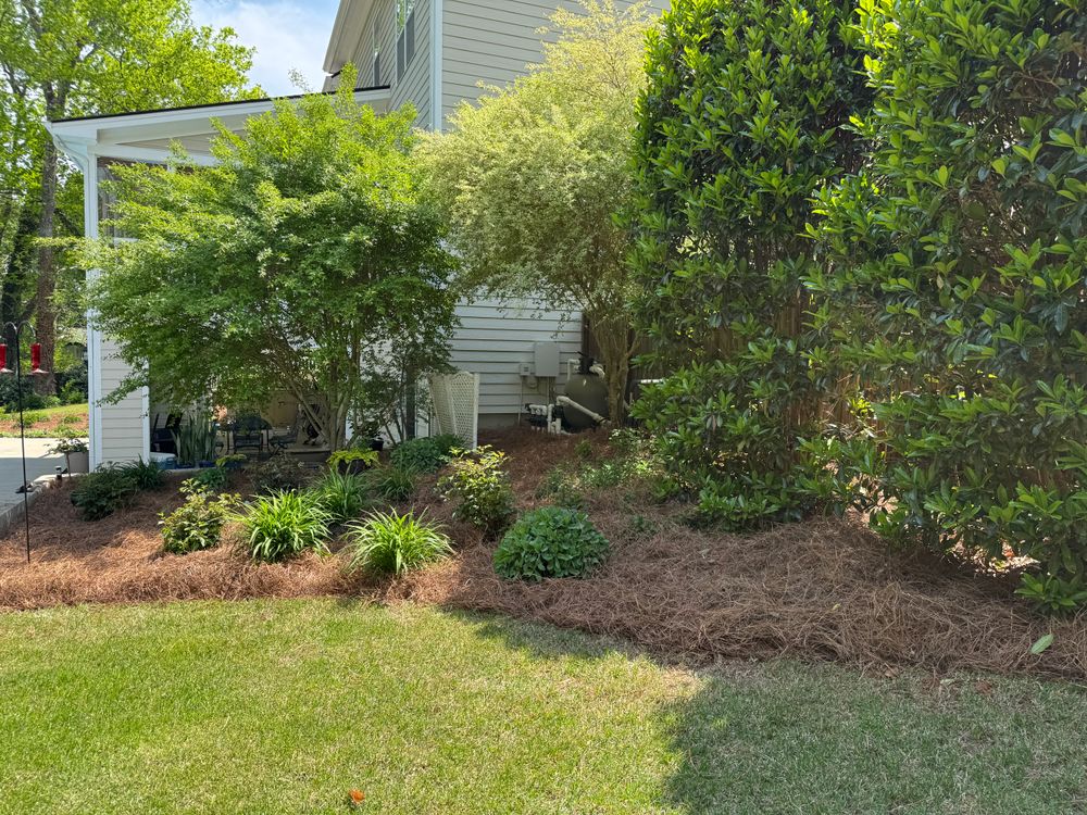 All Photos for Chavez Landscaping in Pittsboro, NC