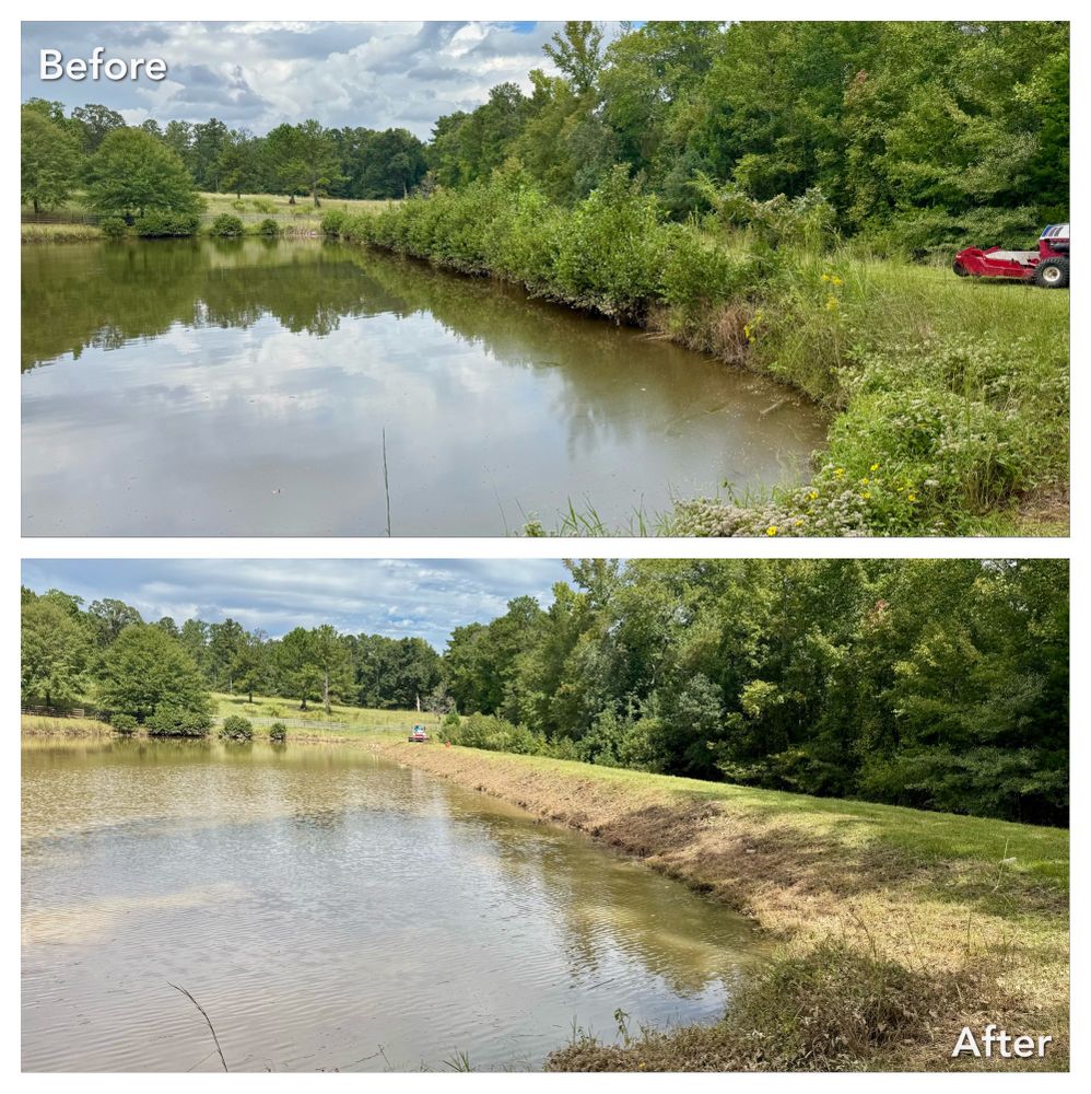 Brush Cutting and Removal for Fayette Property Solutions in Fayetteville, GA