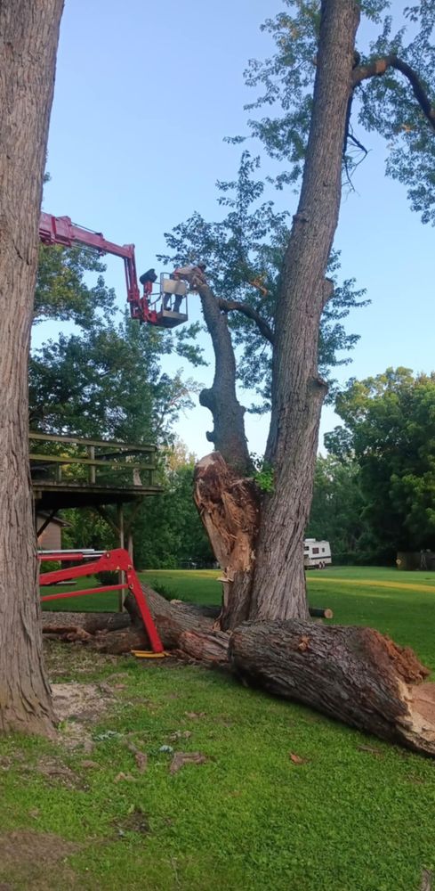 All Photos for Lawn Ranger Yard And Tree Service LLC in Ottumwa, IA