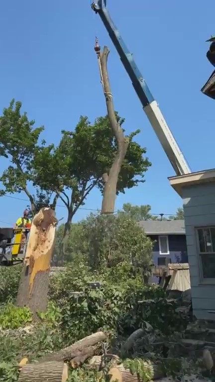 All Photos for Allstate Tree Service and Crane in Minneapolis, MN