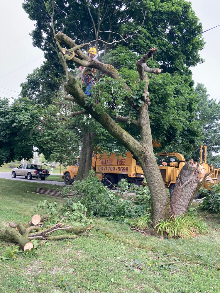 All Photos for Village Tree Service  in Whitestown, IN