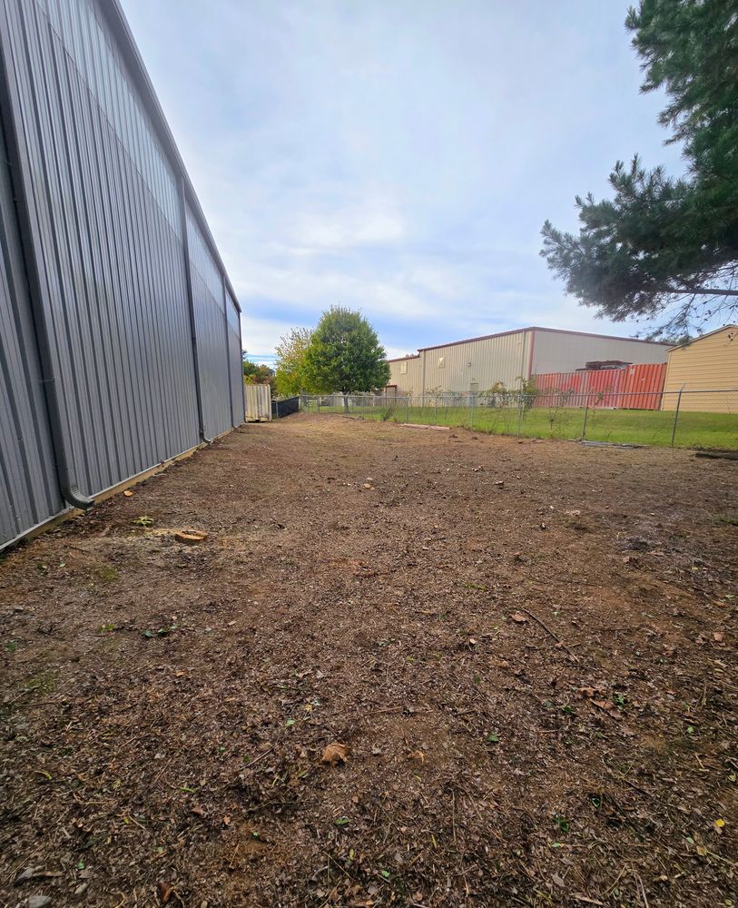 Clean ups and invasive plant management  for C4 TrueVision Renovations in Asheville, NC