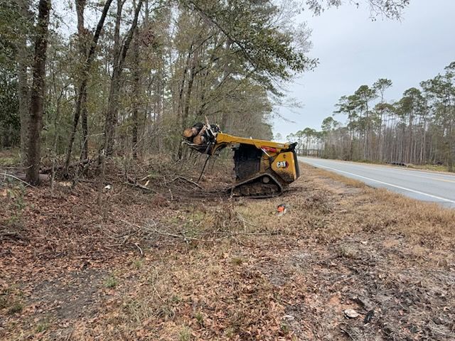 All Photos for Conway Land Management LLC in Chatom, AL