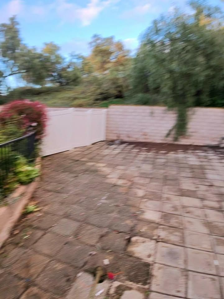 All Photos for Benito's Gardening in San Juan Capistrano, CA