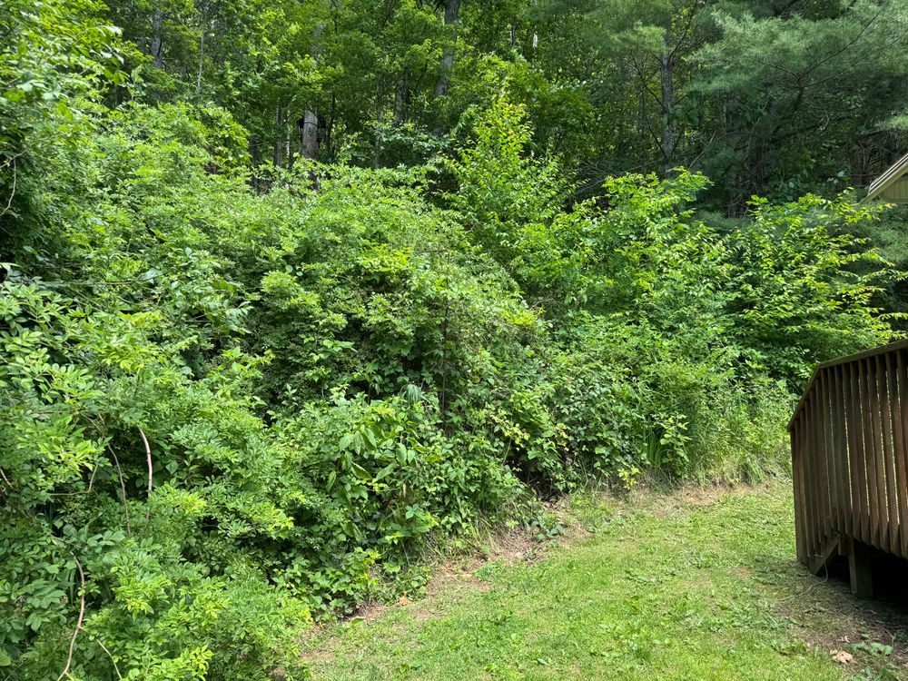 All Photos for Mountain Goat Land Management in Galax, VA