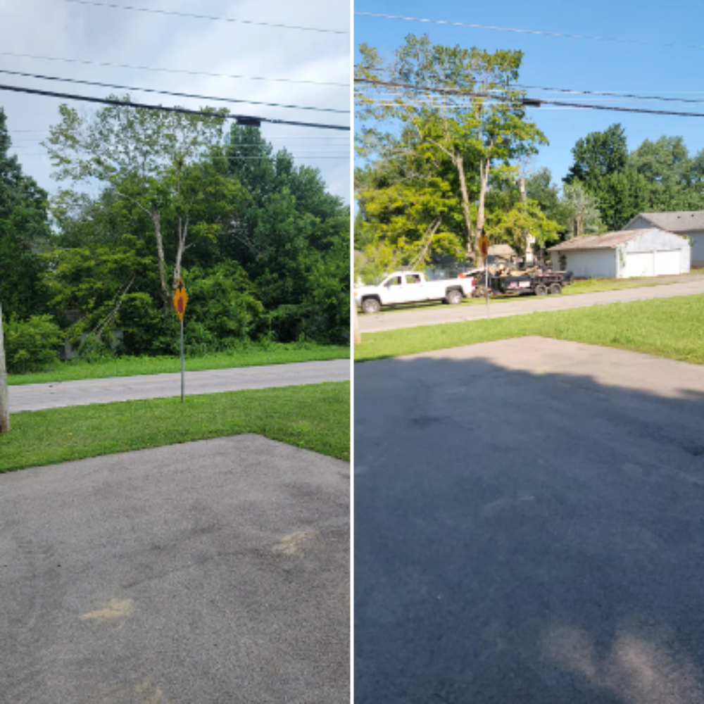 All Photos for Lightning Tree Service in Corydon, IN