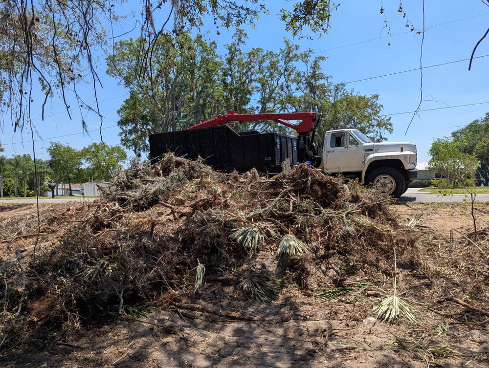 All Photos for Regal Tree Service and Stump Grinding in Wauchula, FL