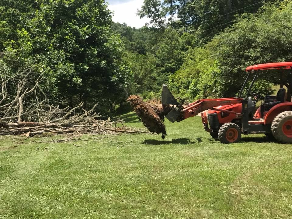 Land Clearing for Elias Grading and Hauling in Black Mountain, NC