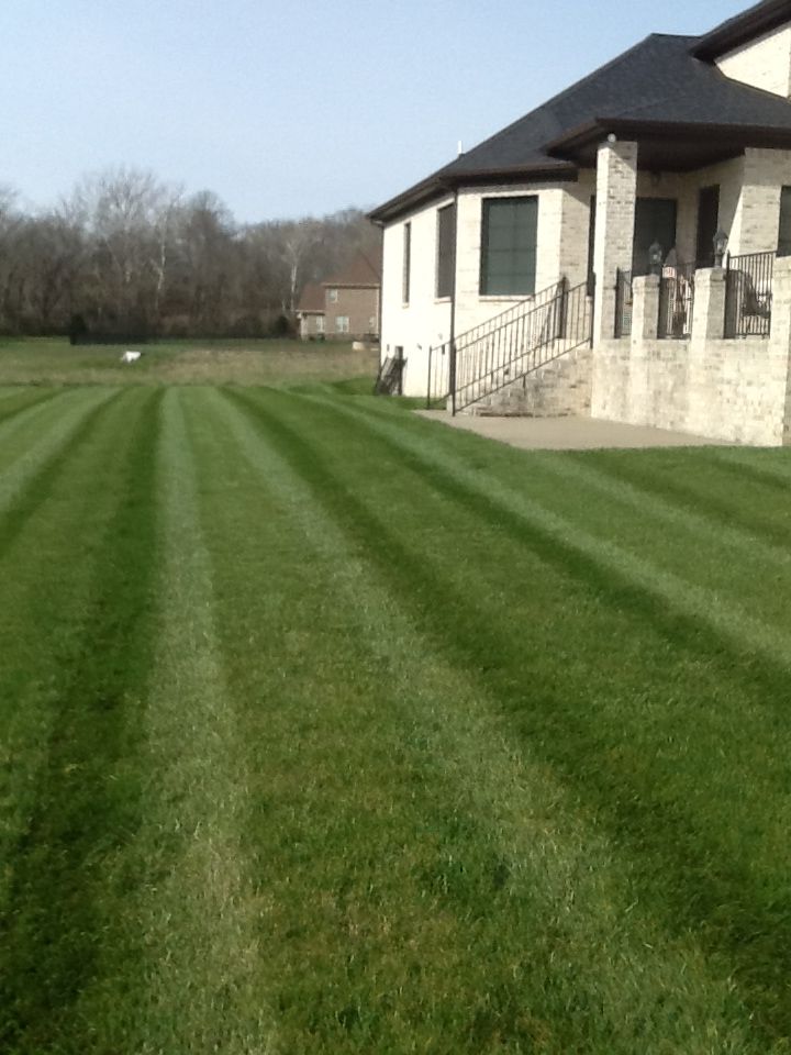 All Photos for Russell's Lawn Care Plus in Nashville, TN