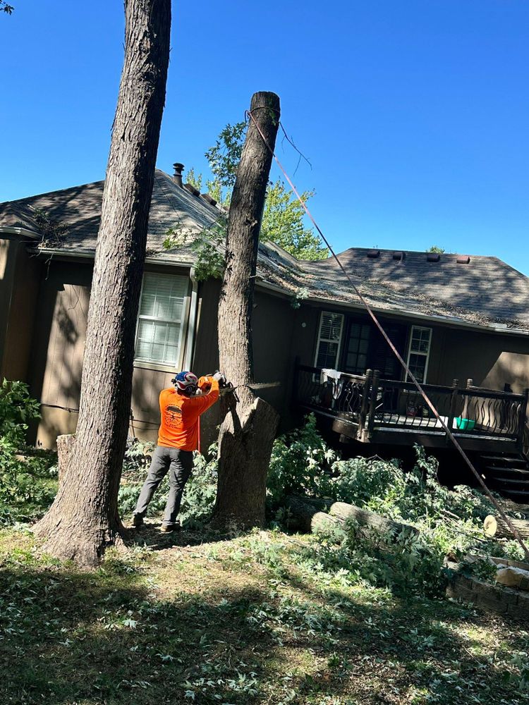 All Photos for Cross Family Tree Service in Kearney, MO