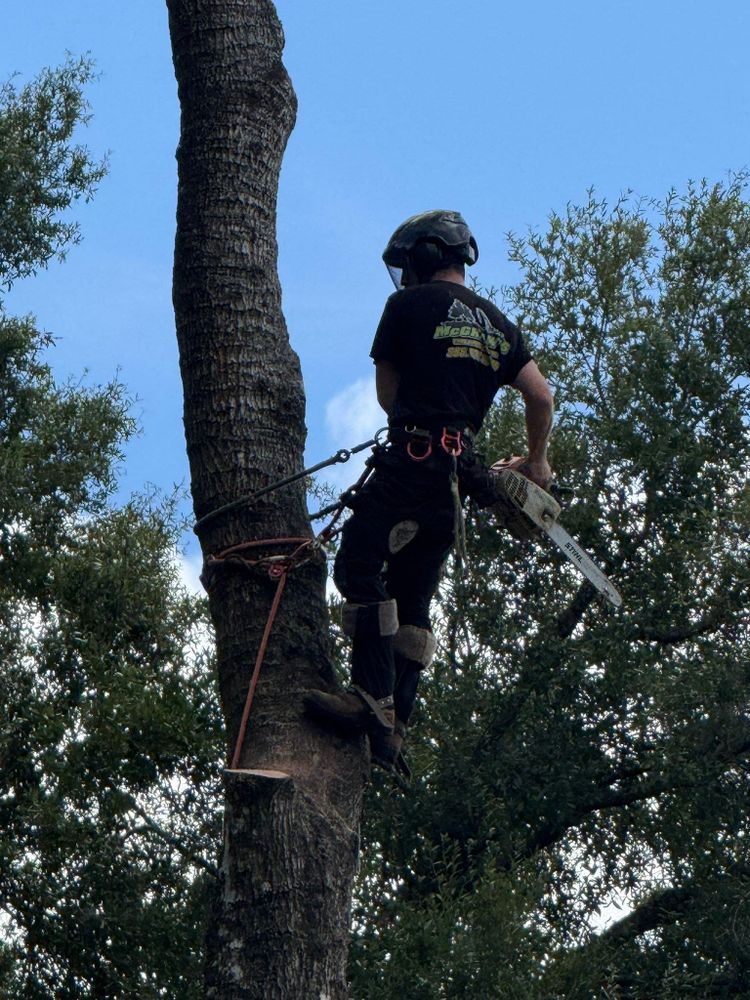 All Photos for McGraw’s Lawn and Tree Service in DeLand, FL