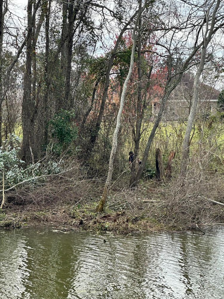 All Photos for Dirty South Land Management  in Robertsdale, AL