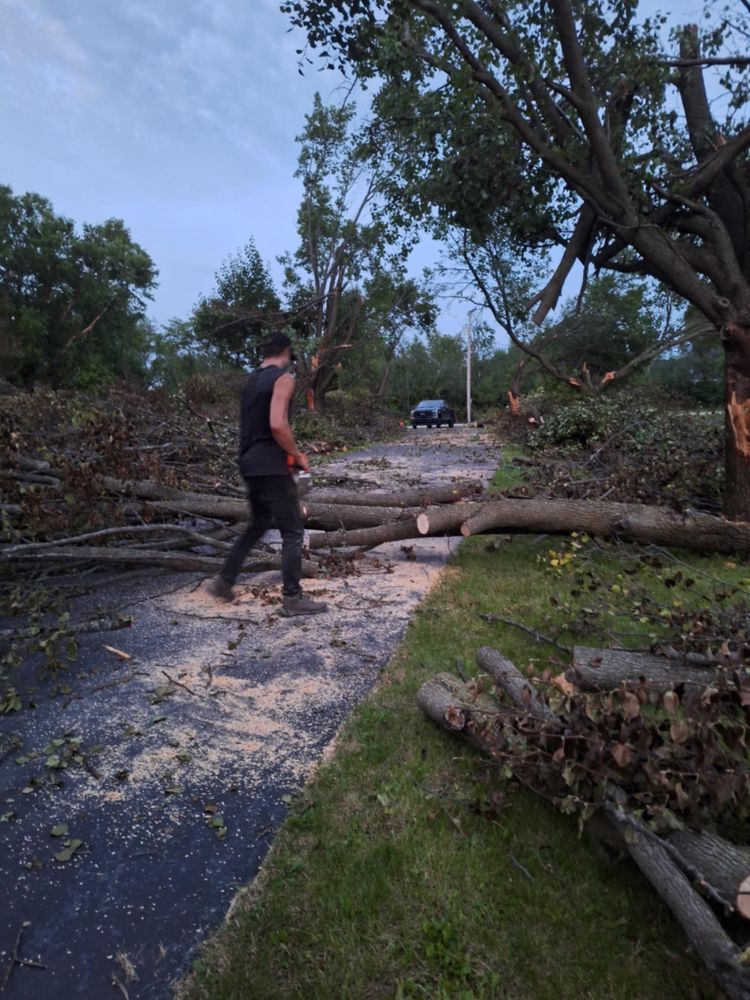Emergency Storm Work for Highborn Tree Service in Wheatfield, IN
