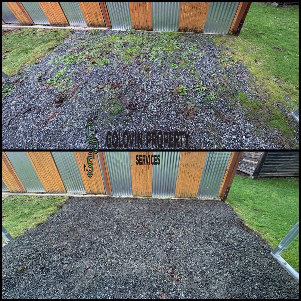 Fall Clean Up for Golovin Property Services LLC in Marysville, WA