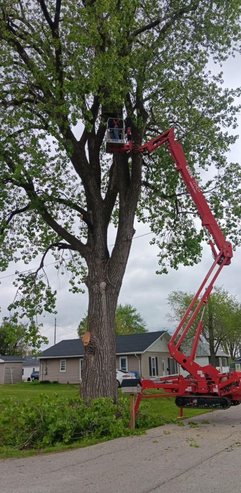 All Photos for Lawn Ranger Yard And Tree Service LLC in Ottumwa, IA