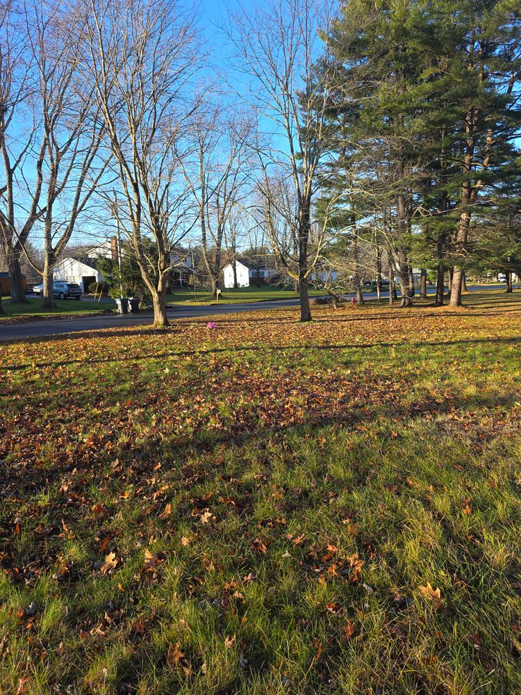All Photos for Sweet Scapes in Ballston Spa, NY