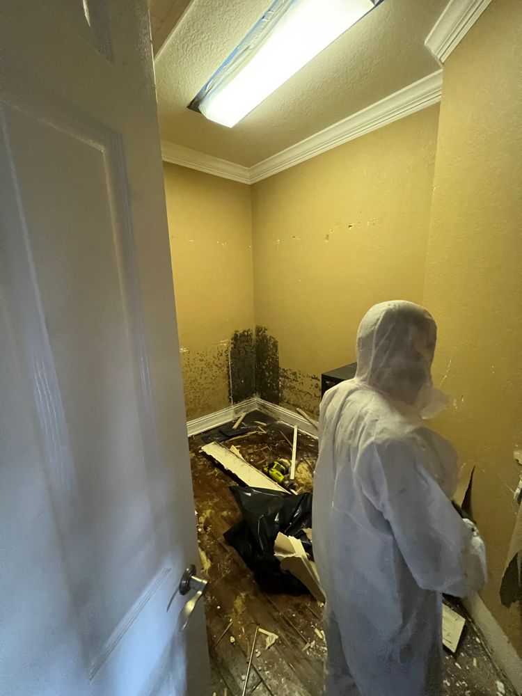 Mold Remediation for N&D Restoration Services When Disaster Attacks, We Come In in Cape Coral,  FL