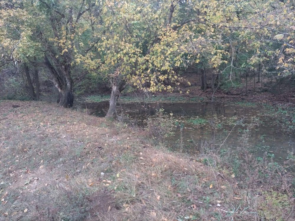 All Photos for King of Dirt in Cornersville, TN