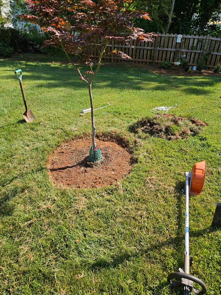 Lawn Care for Browns Grounds in Culpeper, VA