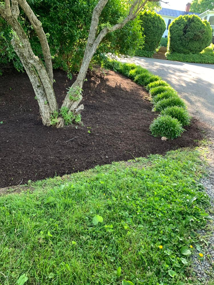 Landscaping for Valencia’s Lawncare in Charlottesville, VA