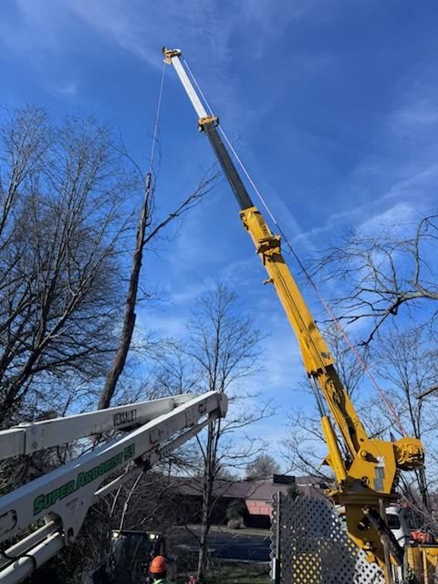 All Photos for Lamb Brothers Clearing in Murray, KY