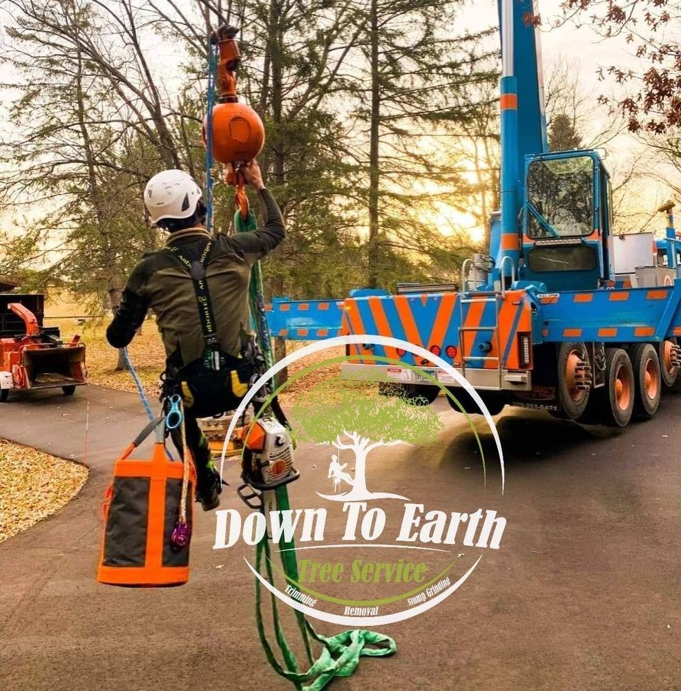 Tree Removal for Down To Earth Tree Service in Red Wing,  Minnesota