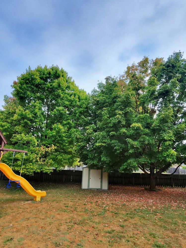 All Photos for F & F Tree Service in Beavercreek, OH