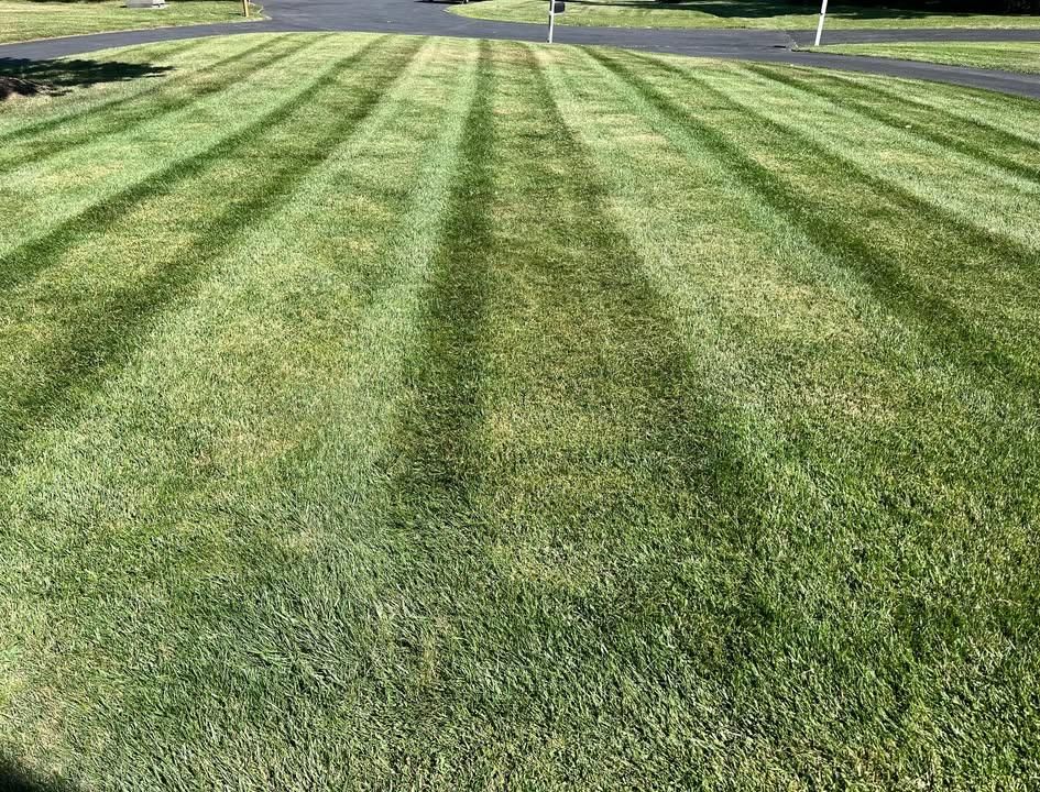 All Photos for Walsh Lawn And Landscape in Olney, MD