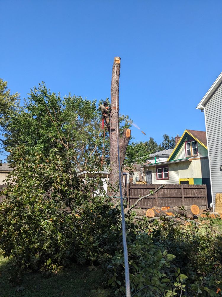 All Photos for Houtz Tree Service in Lexington, KY