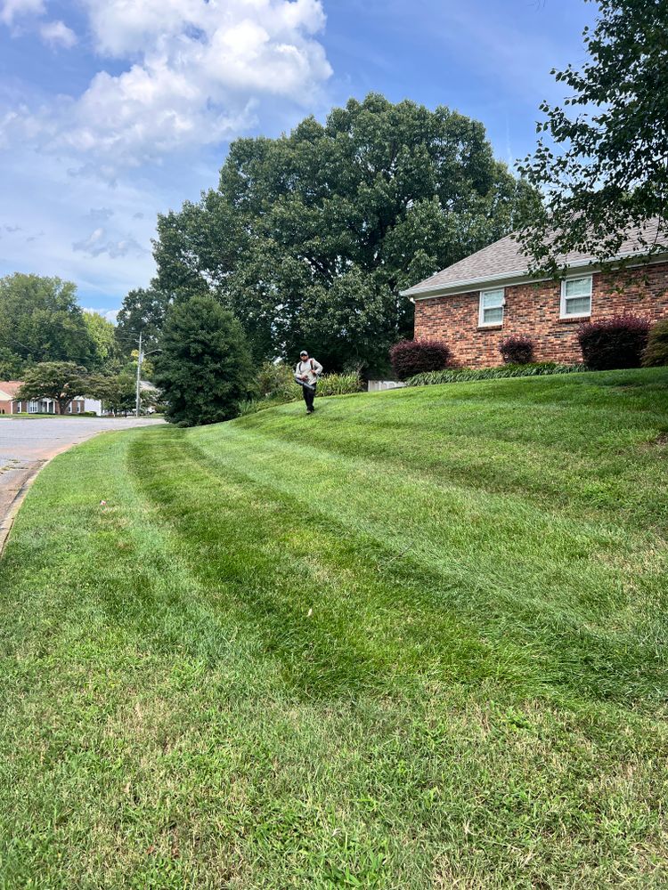 All Photos for Massey Landscaping in Gastonia, NC